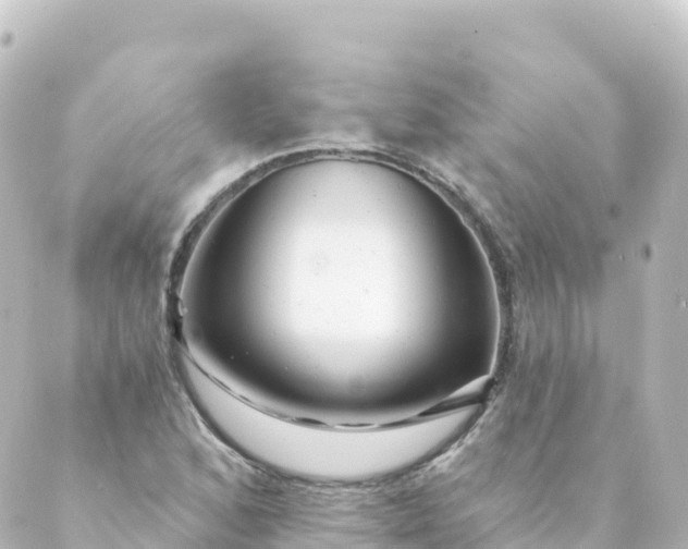 X0000088891168200706221832