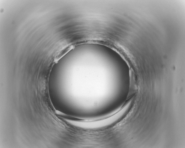 X0000088891169200706221832