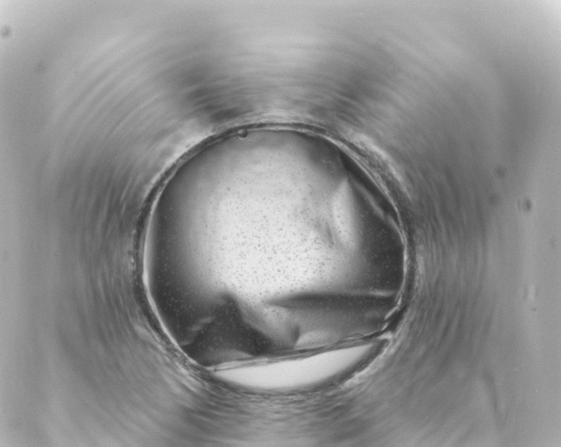 X0000088891170200706221832