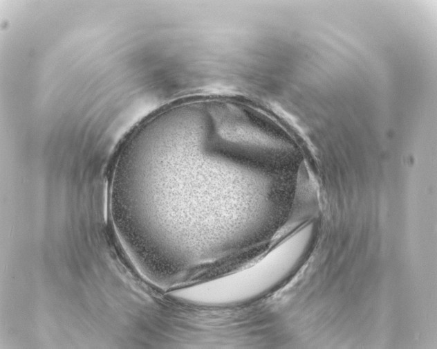 X0000088891171200706221832