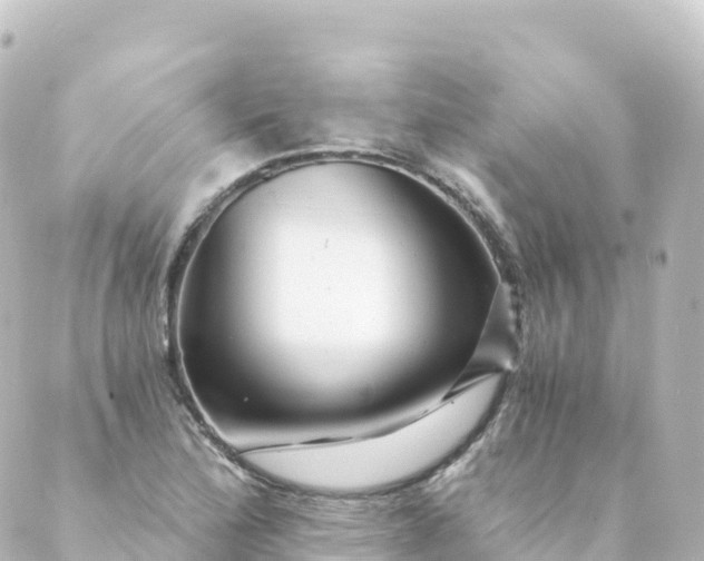 X0000088891172200706221832