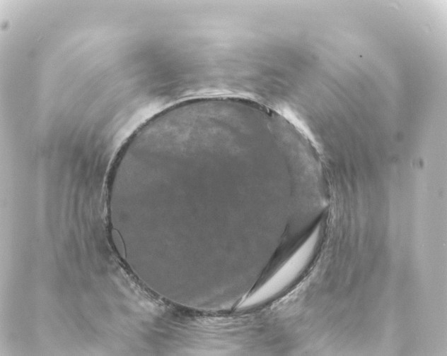 X0000088891173200706221832