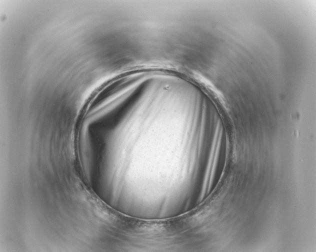 X0000088891174200706221832