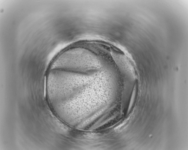 X0000088891175200706221832