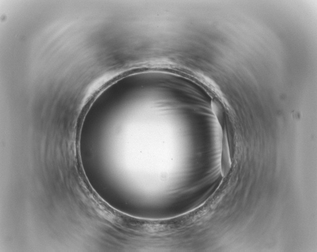 X0000088891176200706221832