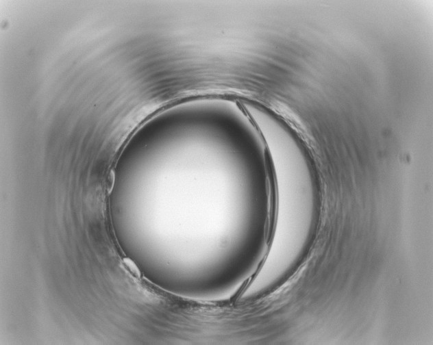 X0000088891177200706221832