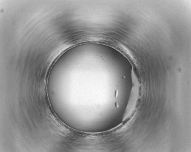 X0000088891178200706221832