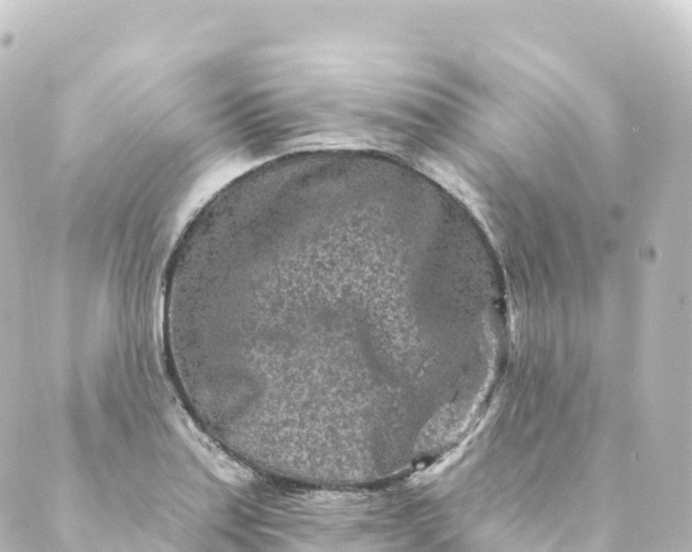 X0000088891179200706221832