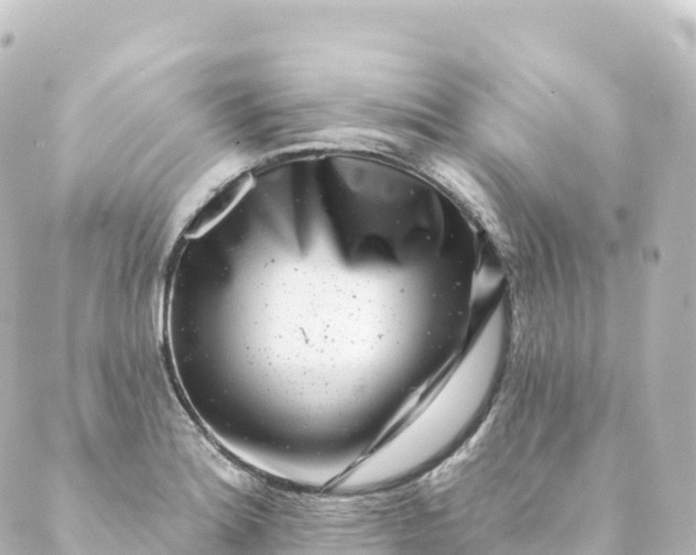 X0000088891180200706221832