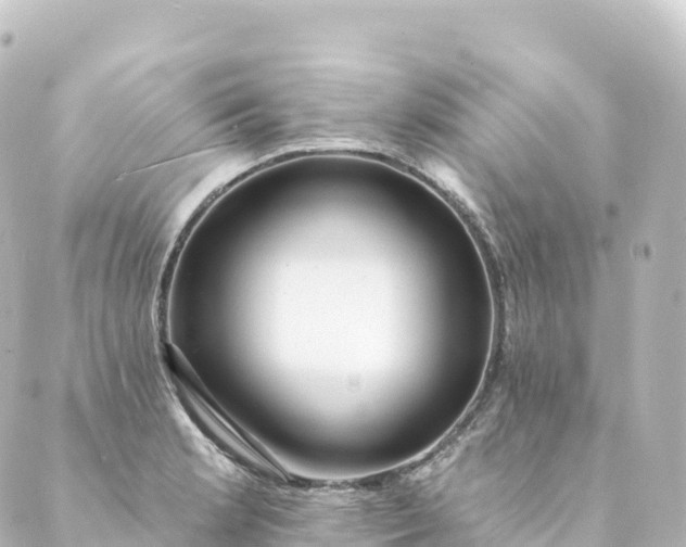 X0000088891181200706221832