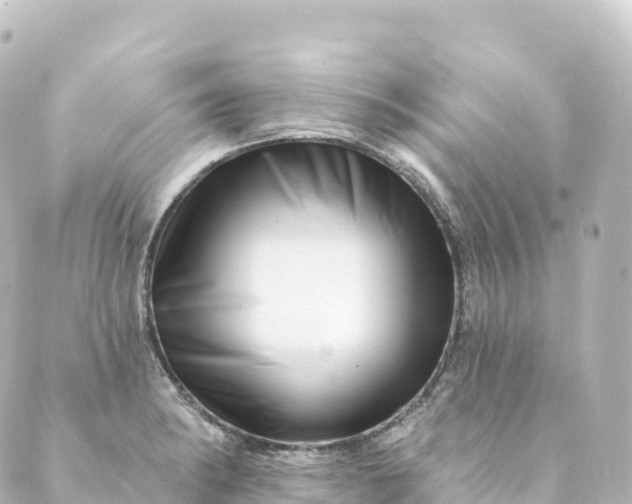 X0000088891182200706221832