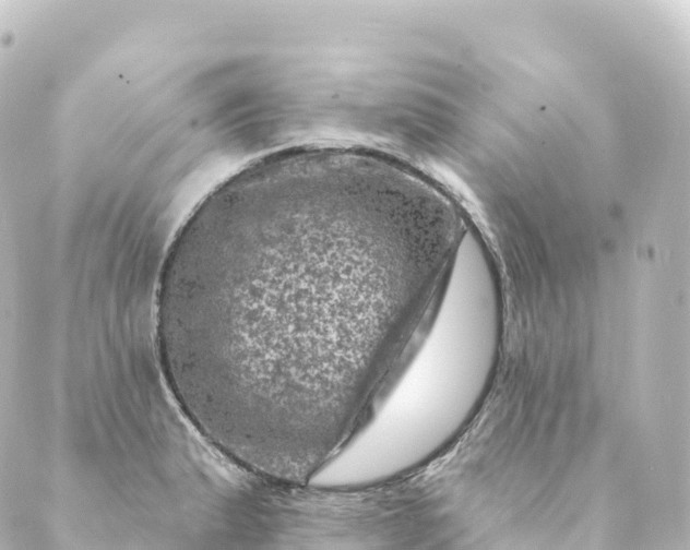 X0000088891183200706221832