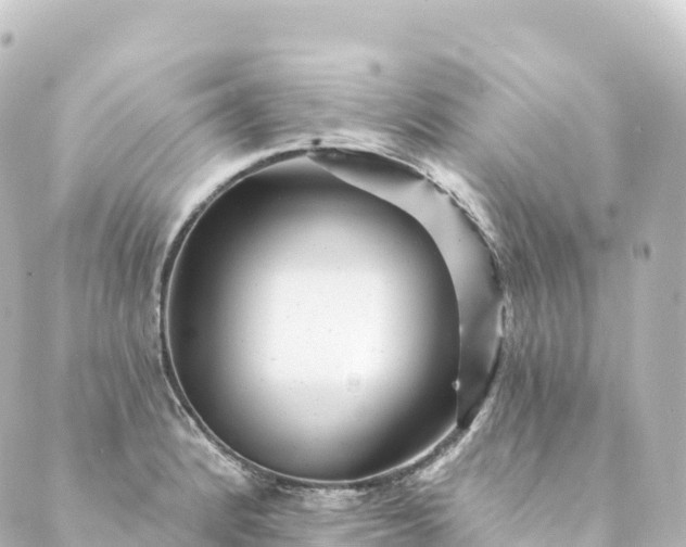 X0000088891184200706221832