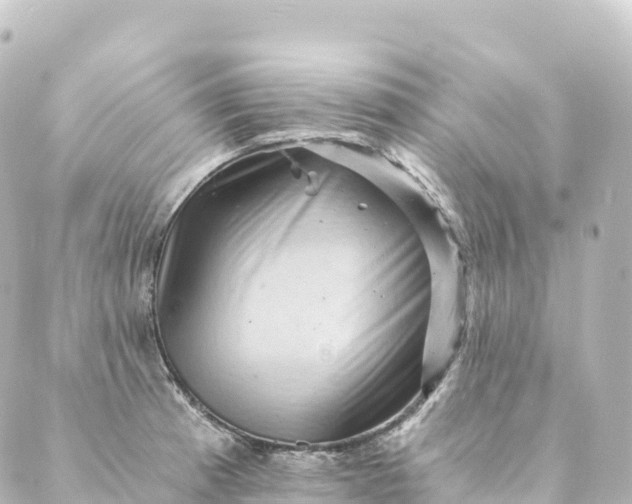 X0000088891185200706221832