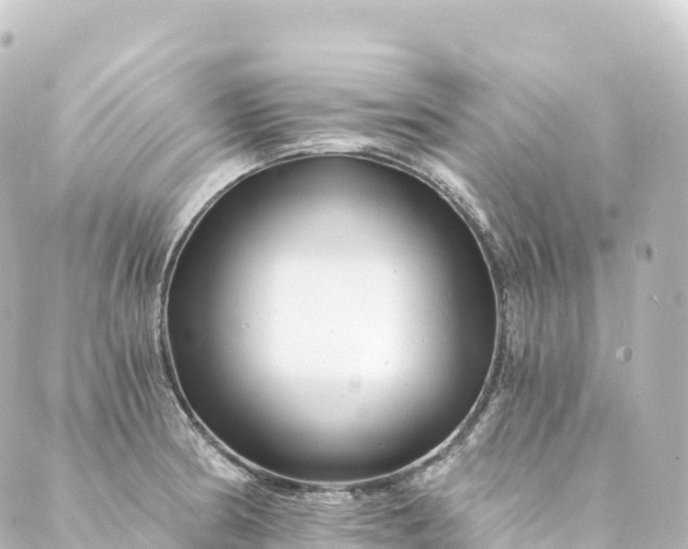 X0000088891186200706221832