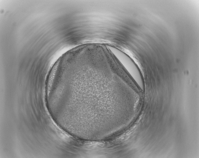 X0000088891187200706221832