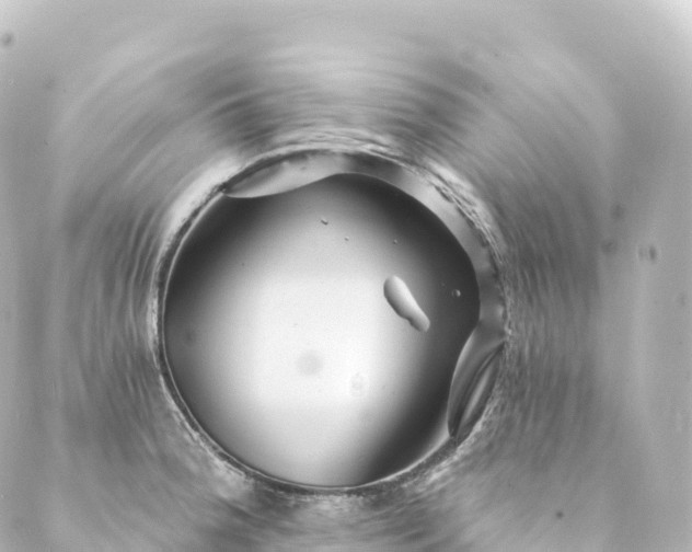 X0000088891188200706221832