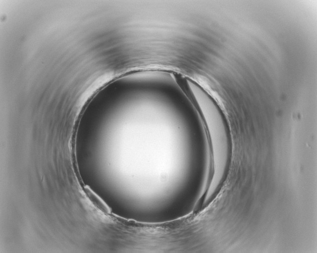 X0000088891189200706221832