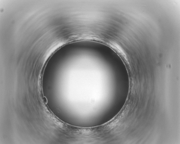 X0000088891190200706221832