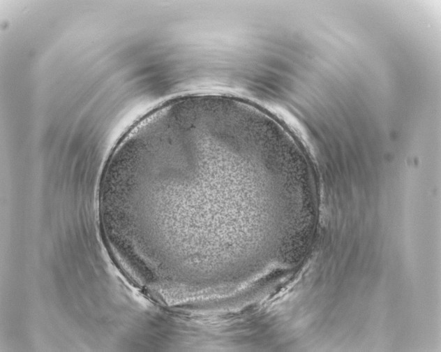 X0000088891191200706221832