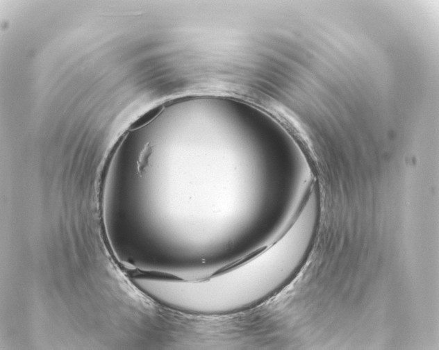 X0000088891192200706221832