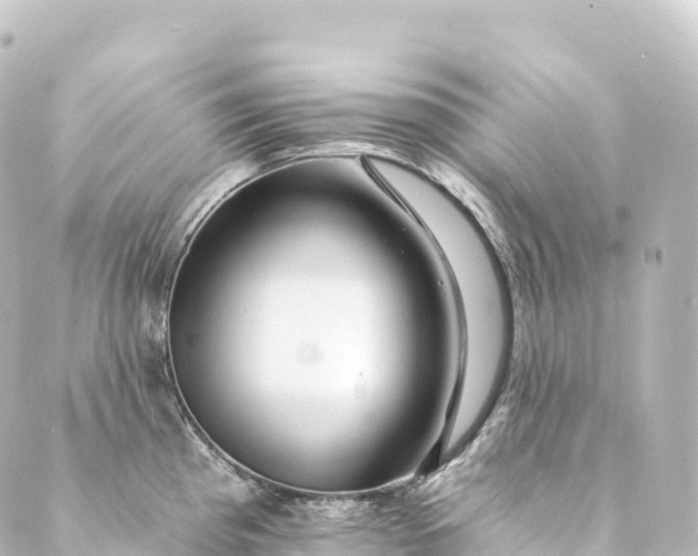 X0000088891193200706221832