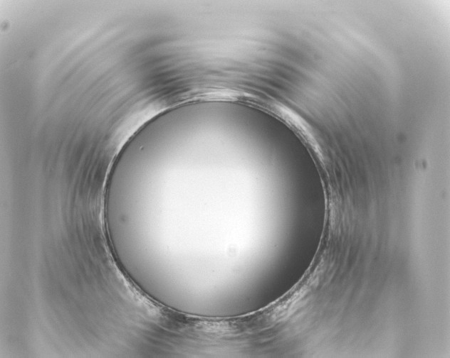 X0000088891194200706221832