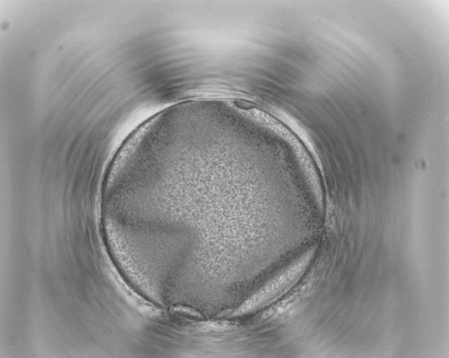 X0000088891195200706221832