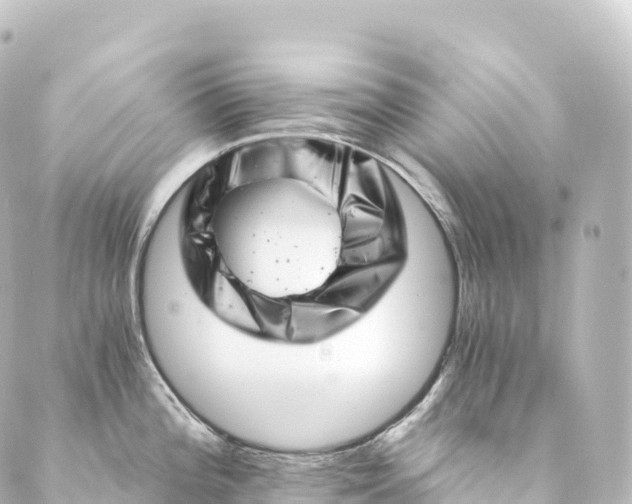 X0000088891196200706221832