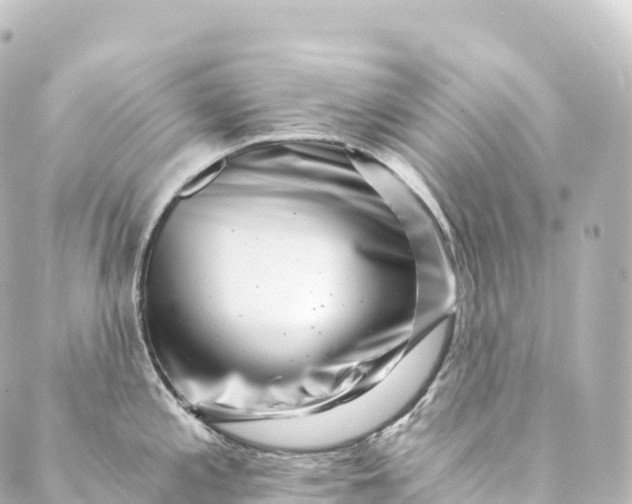 X0000088891197200706221832