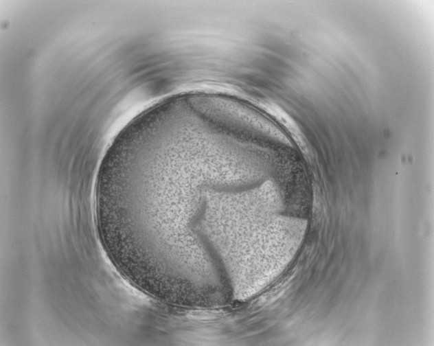 X0000088891199200706221832