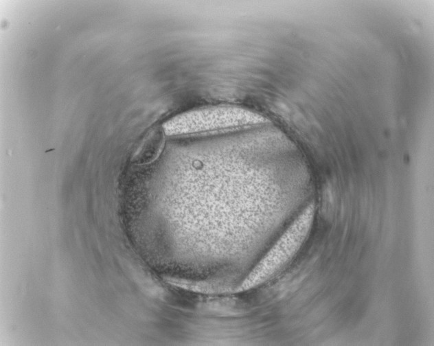 X0000088891201200706221831