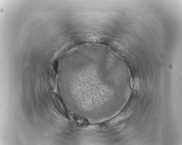 X0000088891202200706221831