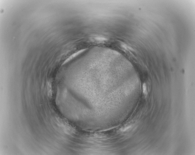 X0000088891203200706221831