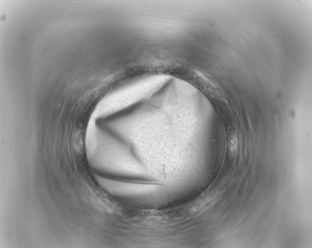 X0000088891204200706221831