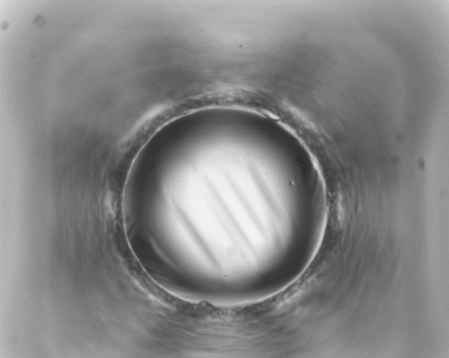 X0000088891206200706221831