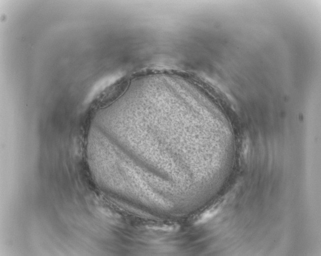 X0000088891207200706221831