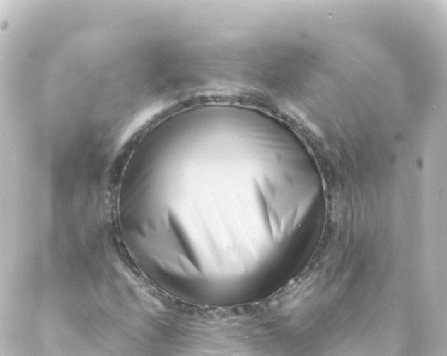 X0000088891208200706221831