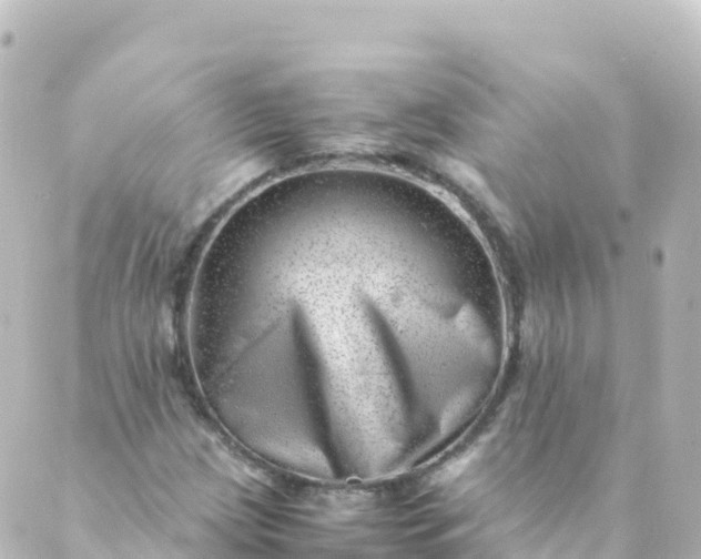 X0000088891209200706221831