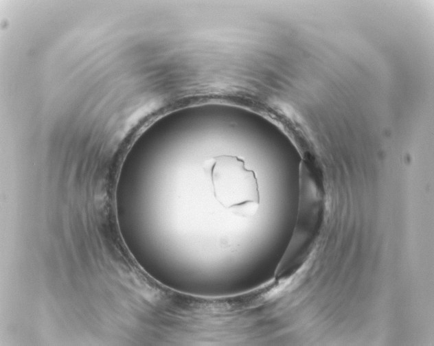 X0000088891210200706221831