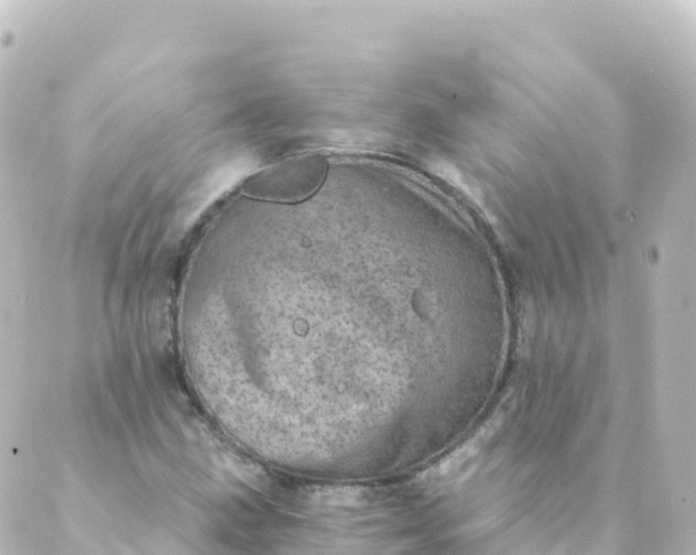 X0000088891211200706221831