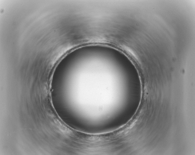 X0000088891212200706221831