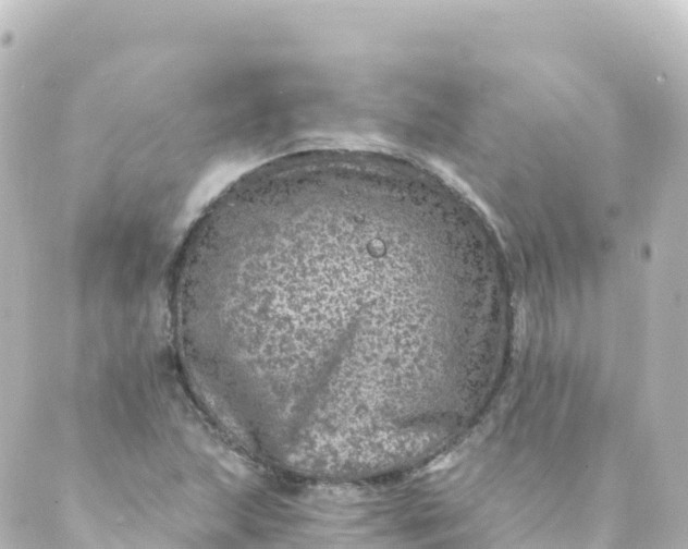 X0000088891215200706221831