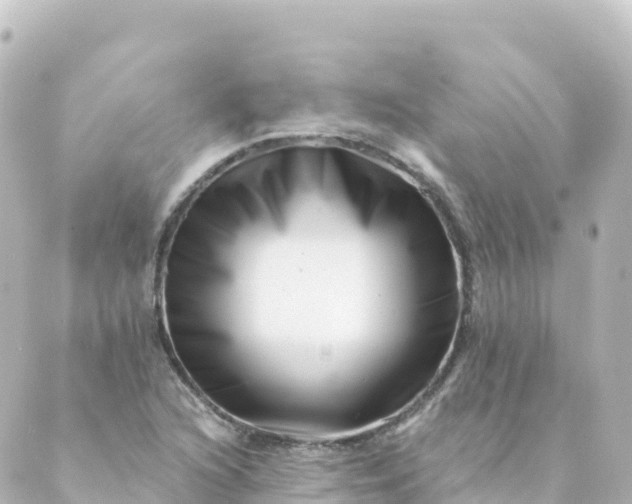 X0000088891216200706221831