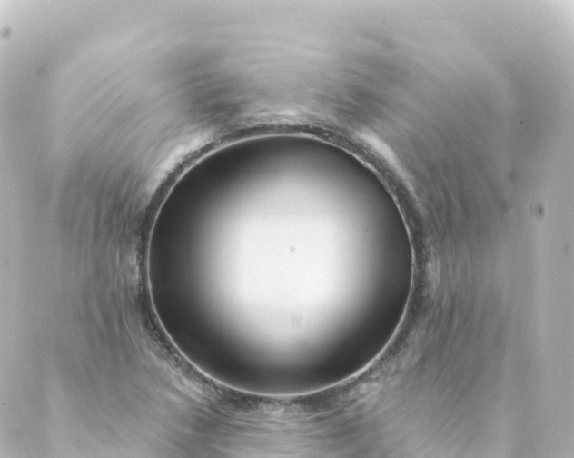 X0000088891218200706221831