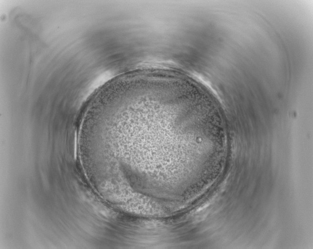 X0000088891219200706221831