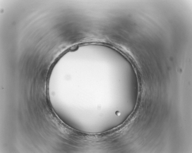 X0000088891220200706221831