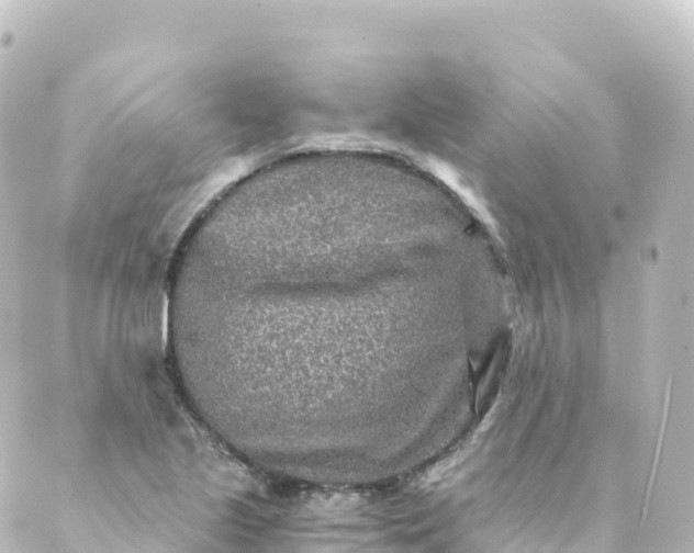 X0000088891221200706221831