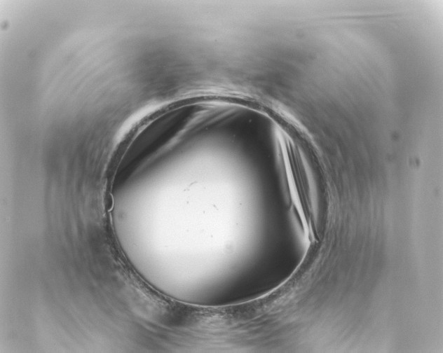 X0000088891222200706221831