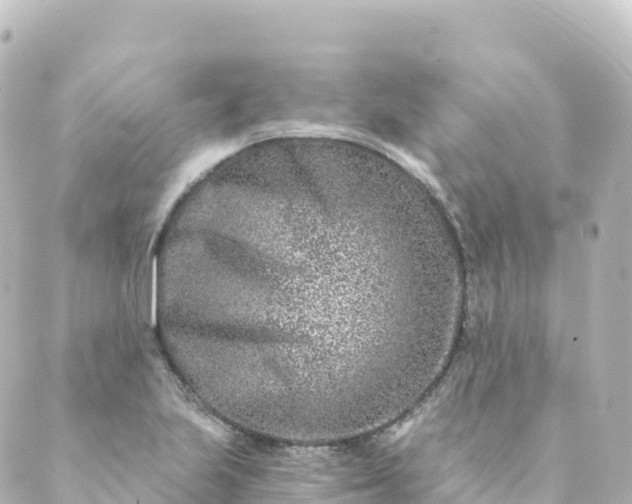 X0000088891223200706221831